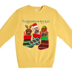 Dog Poodle Christmas Socks Funny Xmas Pajama Pet Puppy Gift Premium Crewneck Sweatshirt