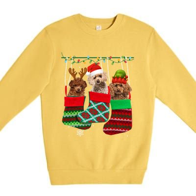 Dog Poodle Christmas Socks Funny Xmas Pajama Pet Puppy Gift Premium Crewneck Sweatshirt