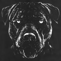 Detailed Pitbull Dog Adult Drive Performance Visor