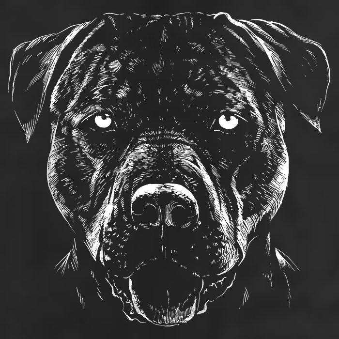 Detailed Pitbull Dog Adult Drive Performance Visor