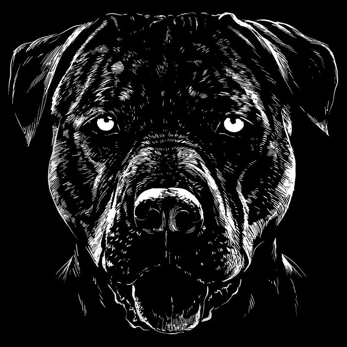 Detailed Pitbull Dog Baby Bodysuit