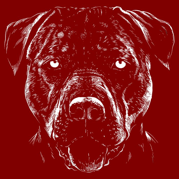 Detailed Pitbull Dog Cooling Performance Crew T-Shirt