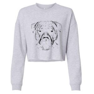 Detailed Pitbull Dog Cropped Pullover Crew