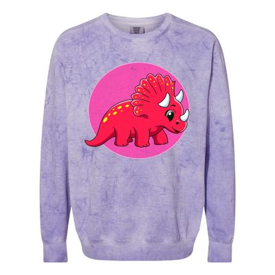 Dinosaurs Prehistoric Dinosaur For Boy And Girl Colorblast Crewneck Sweatshirt