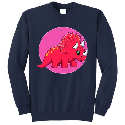 Dinosaurs Prehistoric Dinosaur For Boy And Girl Tall Sweatshirt