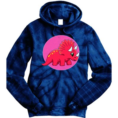 Dinosaurs Prehistoric Dinosaur For Boy And Girl Tie Dye Hoodie