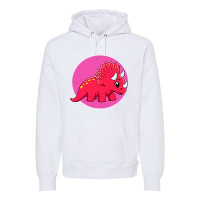 Dinosaurs Prehistoric Dinosaur For Boy And Girl Premium Hoodie