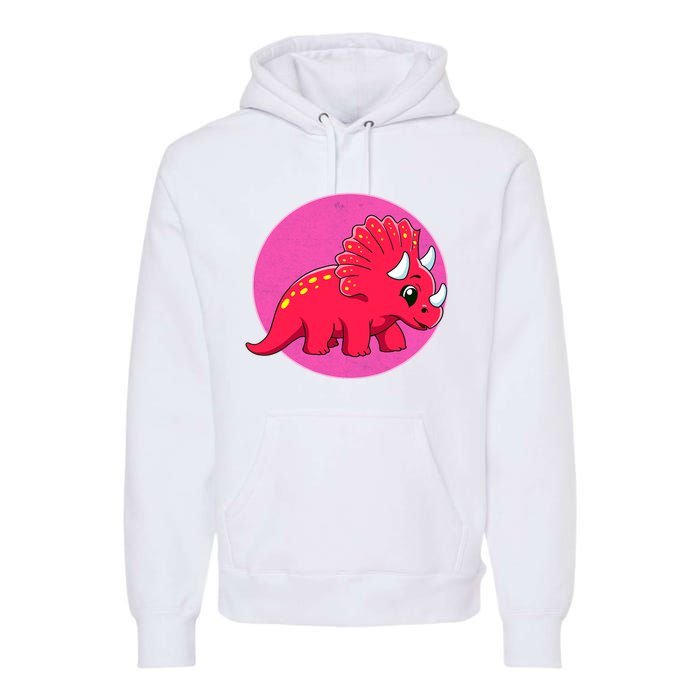 Dinosaurs Prehistoric Dinosaur For Boy And Girl Premium Hoodie