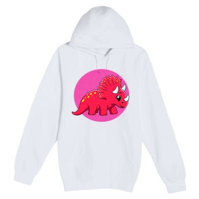 Dinosaurs Prehistoric Dinosaur For Boy And Girl Premium Pullover Hoodie