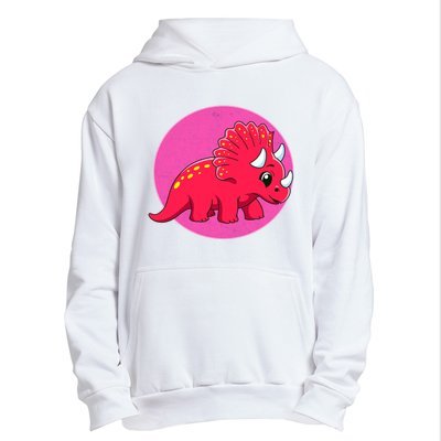 Dinosaurs Prehistoric Dinosaur For Boy And Girl Urban Pullover Hoodie