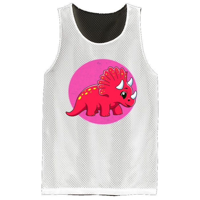 Dinosaurs Prehistoric Dinosaur For Boy And Girl Mesh Reversible Basketball Jersey Tank