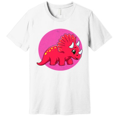 Dinosaurs Prehistoric Dinosaur For Boy And Girl Premium T-Shirt