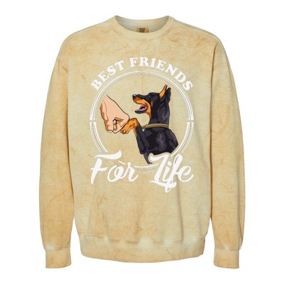 Doberman Pinscher Funny Doberman Lover Colorblast Crewneck Sweatshirt