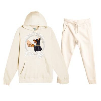 Doberman Pinscher Funny Doberman Lover Premium Hooded Sweatsuit Set