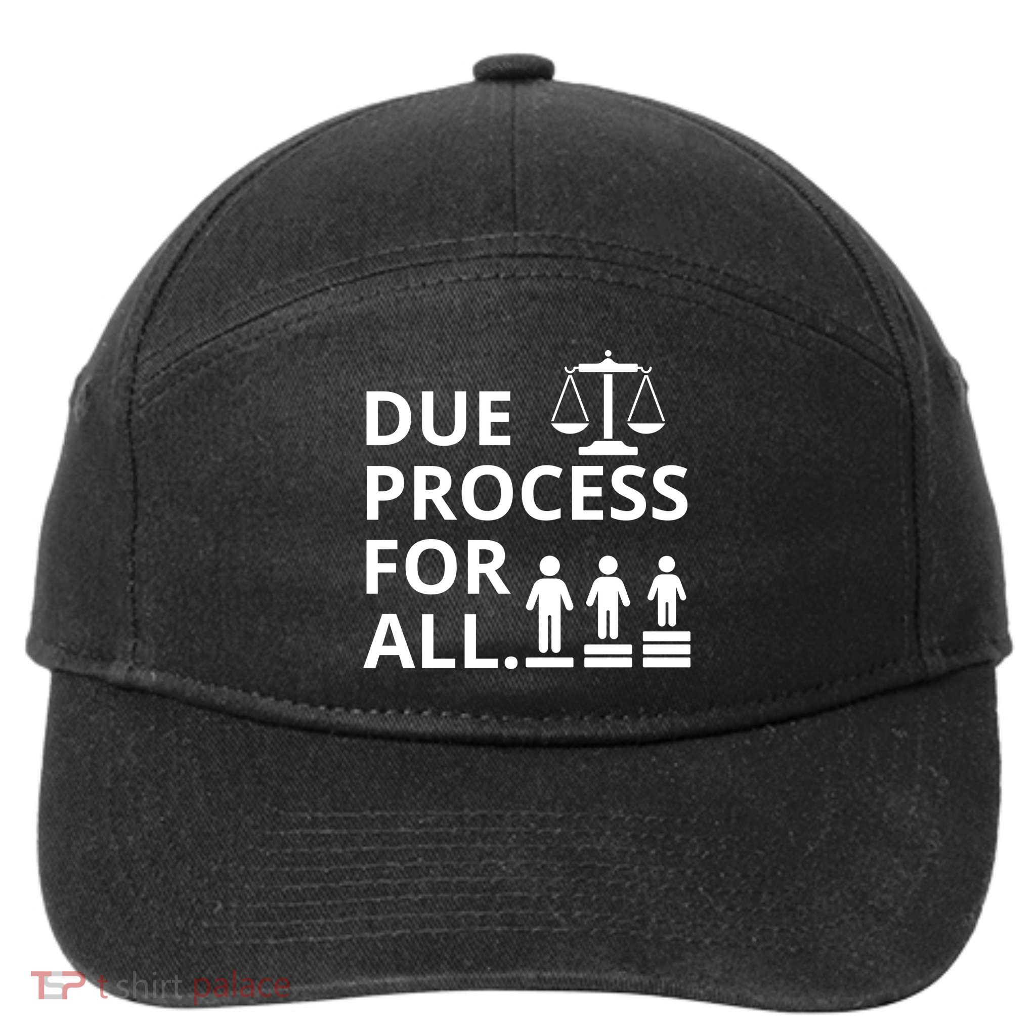 Due Process For All 7-Panel Snapback Hat