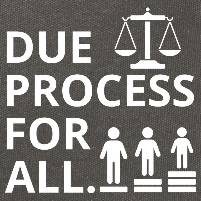 Due Process For All Cotton Canvas Backpack