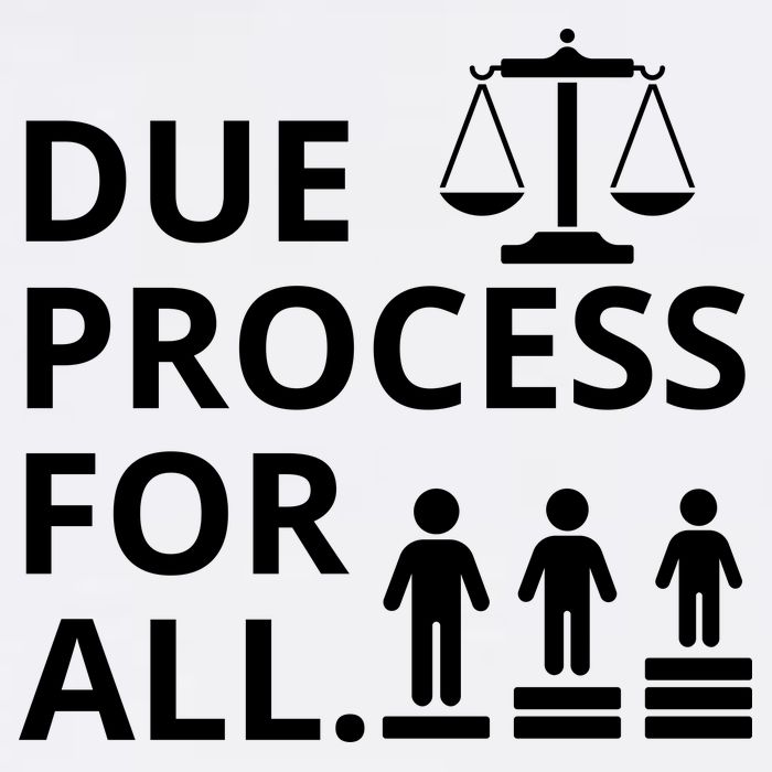 Due Process For All Bucket Hat