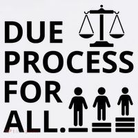 Due Process For All Mug