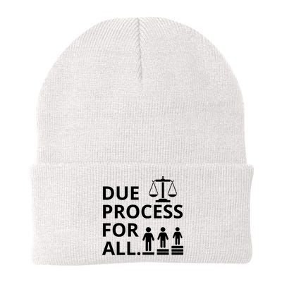 Due Process For All Beanie