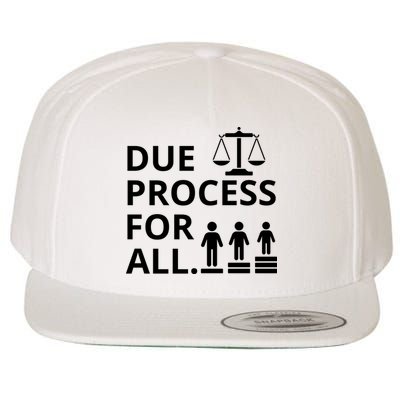 Due Process For All Wool Snapback Cap
