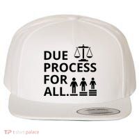 Due Process For All Wool Snapback Cap