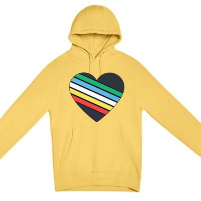 Disability Pride Flag July Disabled Pride Month Awareness Premium Pullover Hoodie