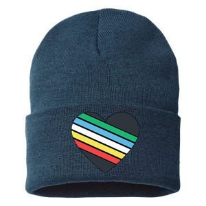 Disability Pride Flag July Disabled Pride Month Awareness Sustainable Knit Beanie