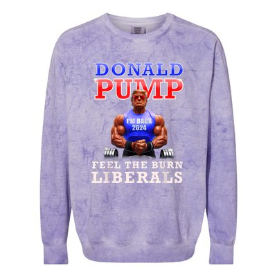 Donald Pump Funny Trump Feel The Burn Liberals 2024 Colorblast Crewneck Sweatshirt