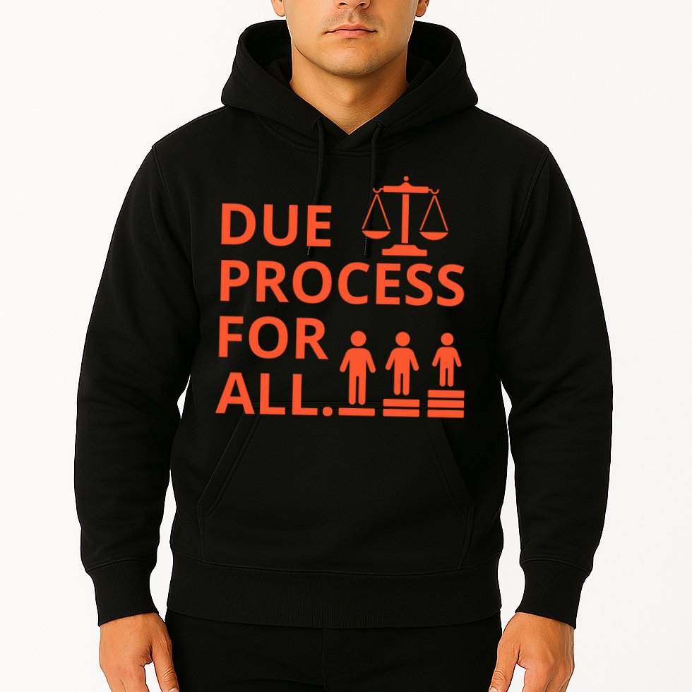 Due Process For All Hoodie