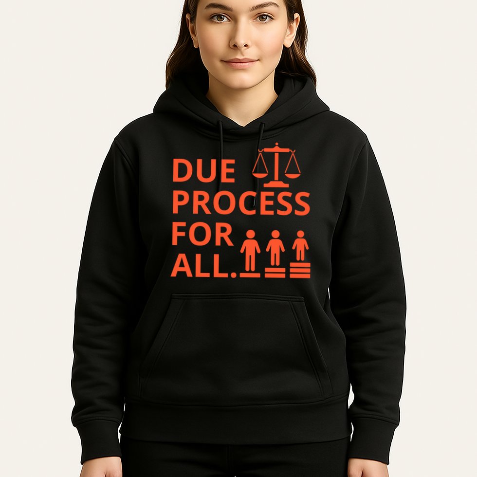 Due Process For All Hoodie
