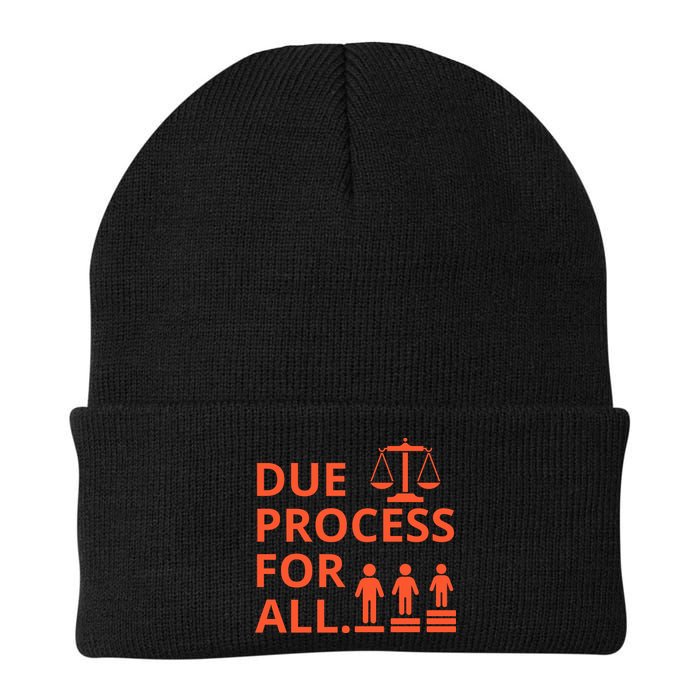 Due Process For All Beanie