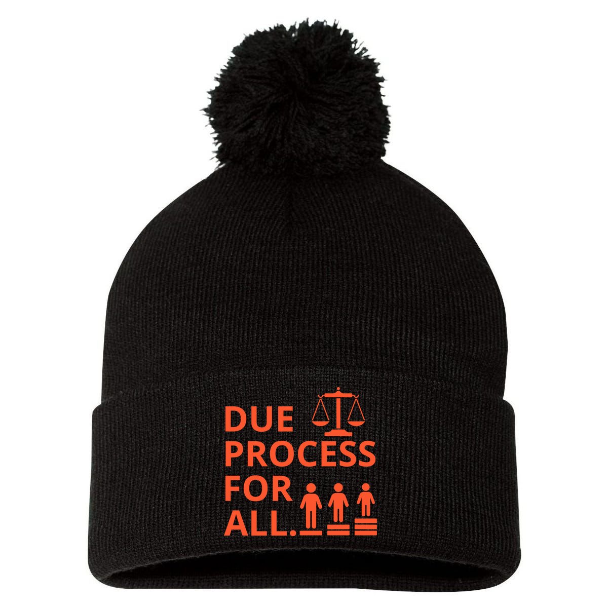 Due Process For All Pom Pom 12in Knit Beanie