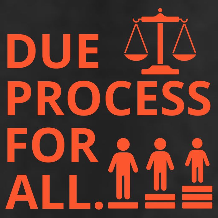 Due Process For All Hat