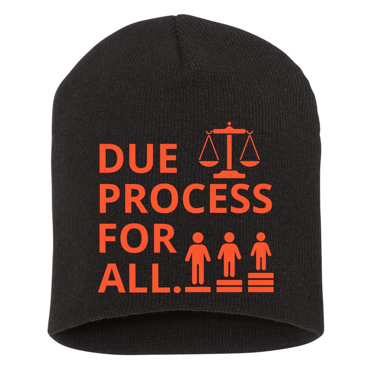 Due Process For All Short Acrylic Beanie