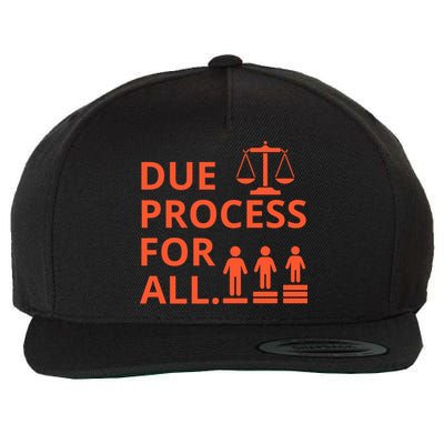 Due Process For All Wool Snapback Cap