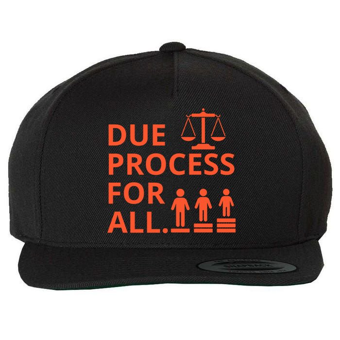 Due Process For All Wool Snapback Cap