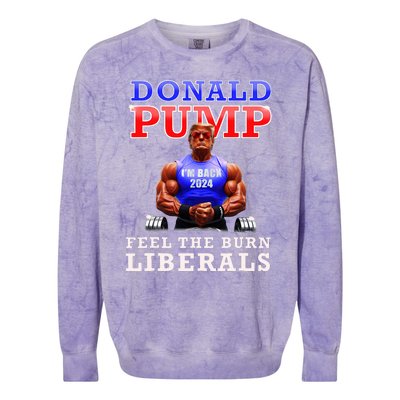 Donald Pump Funny Trump Feel The Burn Liberals 2024 Colorblast Crewneck Sweatshirt