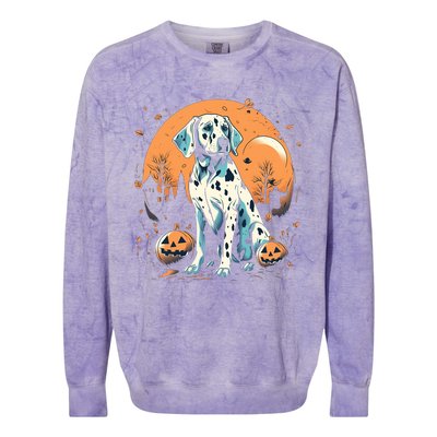 Dalmatian Pumpkin Halloween Costume Dog Puppy Gift Colorblast Crewneck Sweatshirt