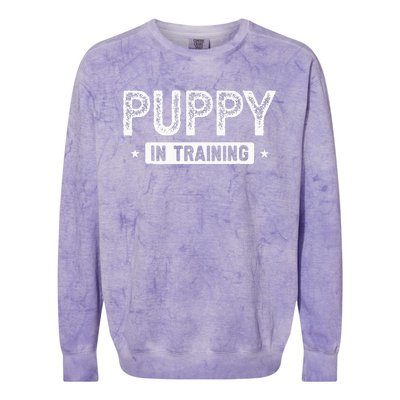 Dog Puppy In Training Colorblast Crewneck Sweatshirt