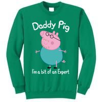Daddy Pig I&X27;M An Expert Funny And Cute Character Sweatshirt