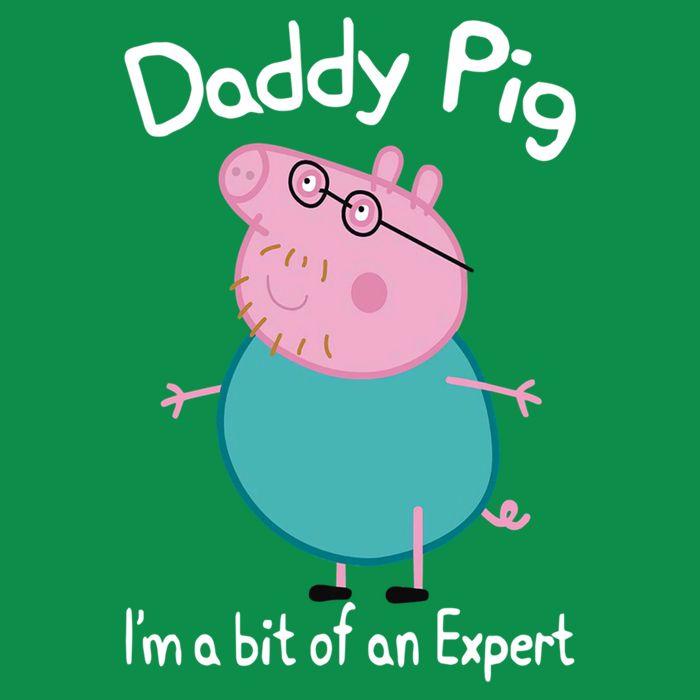 Daddy Pig I&X27;M An Expert Funny And Cute Character T-Shirt