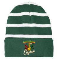 Dont Panic Its Organic Weed Marijuana Striped Beanie with Solid Band