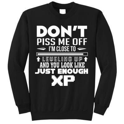 Dont Piss Me Off IM Close To Leveling Up And You Look Like Just Enough Xp Sweatshirt