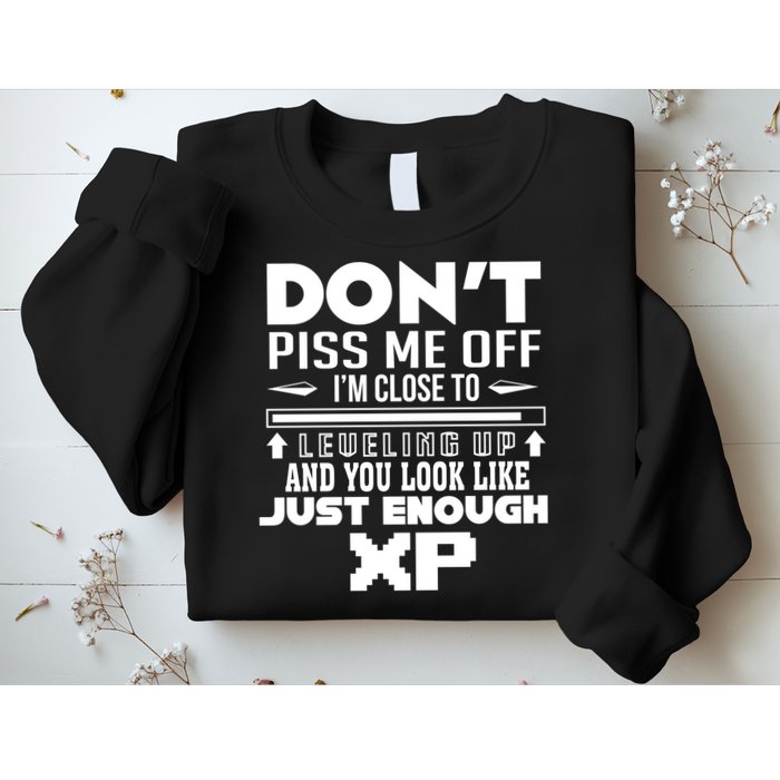 Dont Piss Me Off IM Close To Leveling Up And You Look Like Just Enough Xp Sweatshirt