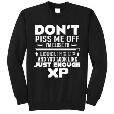 Dont Piss Me Off IM Close To Leveling Up And You Look Like Just Enough Xp Tall Sweatshirt