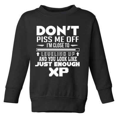 Dont Piss Me Off IM Close To Leveling Up And You Look Like Just Enough Xp Toddler Sweatshirt