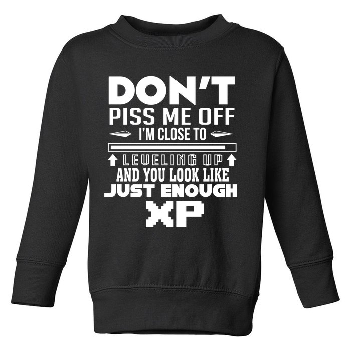 Dont Piss Me Off IM Close To Leveling Up And You Look Like Just Enough Xp Toddler Sweatshirt