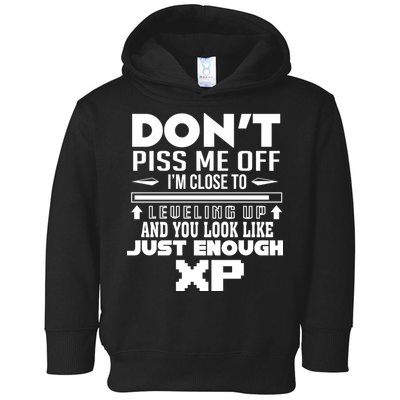 Dont Piss Me Off IM Close To Leveling Up And You Look Like Just Enough Xp Toddler Hoodie