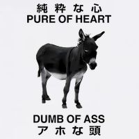 Donkey Pure Of Heart Dumb Of Ass Japanese Womens T-Shirt