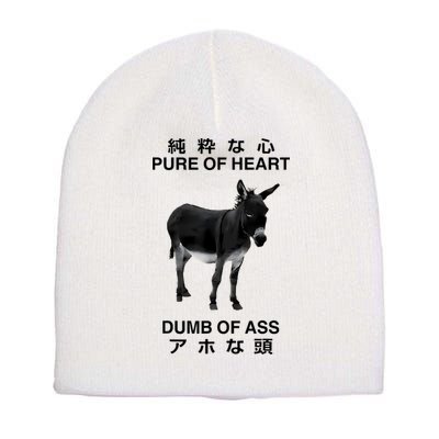 Donkey Pure Of Heart Dumb Of Ass Japanese Short Acrylic Beanie